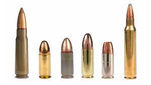 IMAGE: Level 1 Firearms Training Available Ammunition 